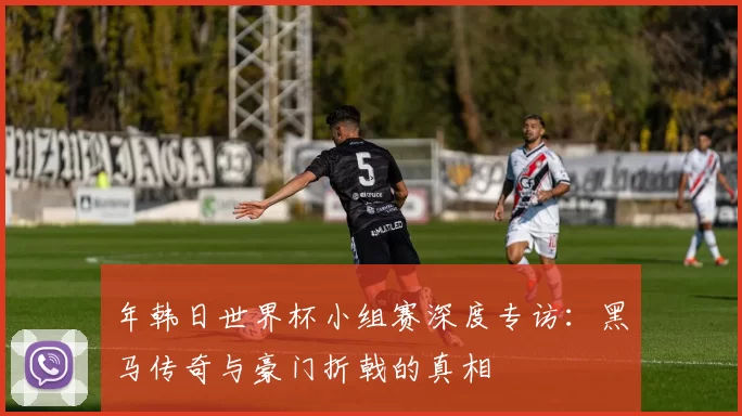 年韩日世界杯小组赛深度专访：黑马传奇与豪门折戟的真相