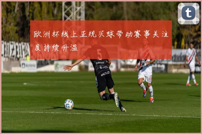 欧洲杯线上正规买球带动赛事关注度持续升温