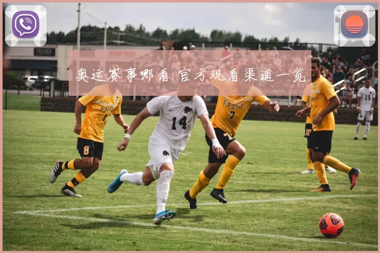 奥运赛事哪看 官方观看渠道一览