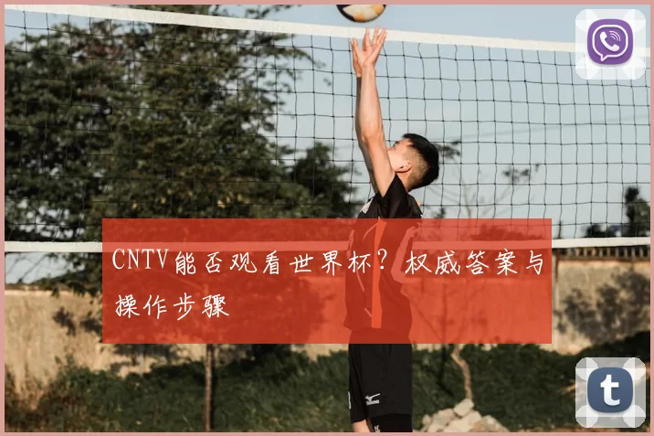 CNTV能否观看世界杯?权威答案与操作步骤