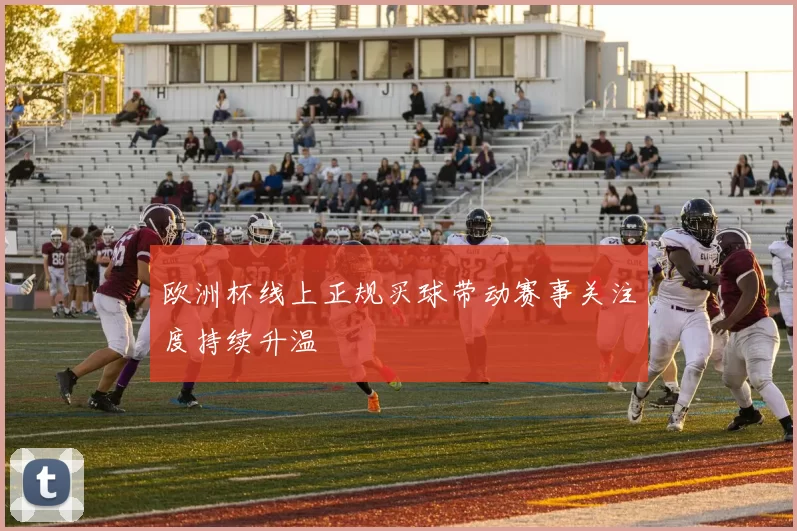 欧洲杯线上正规买球带动赛事关注度持续升温