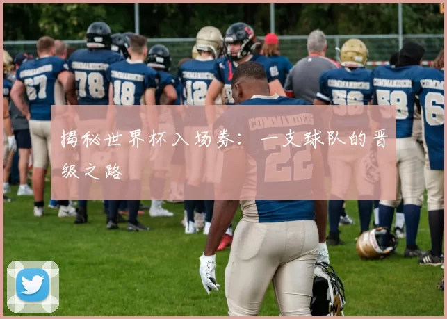 揭秘世界杯入场券：一支球队的晋级之路