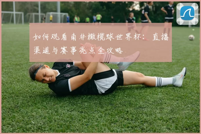 如何观看南非橄榄球世界杯:直播渠道与赛事亮点全攻略