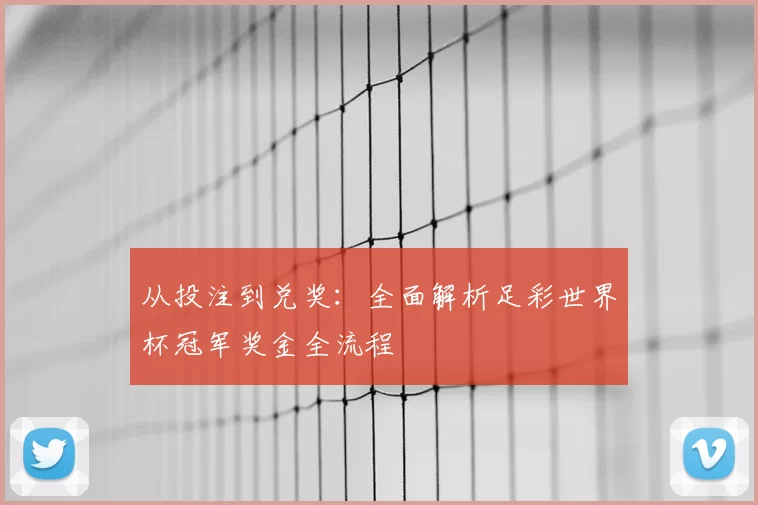 从投注到兑奖:全面解析足彩世界杯冠军奖金全流程