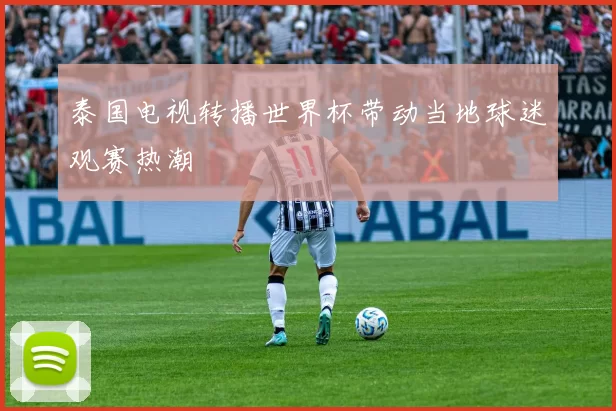 泰国电视转播世界杯带动当地球迷观赛热潮
