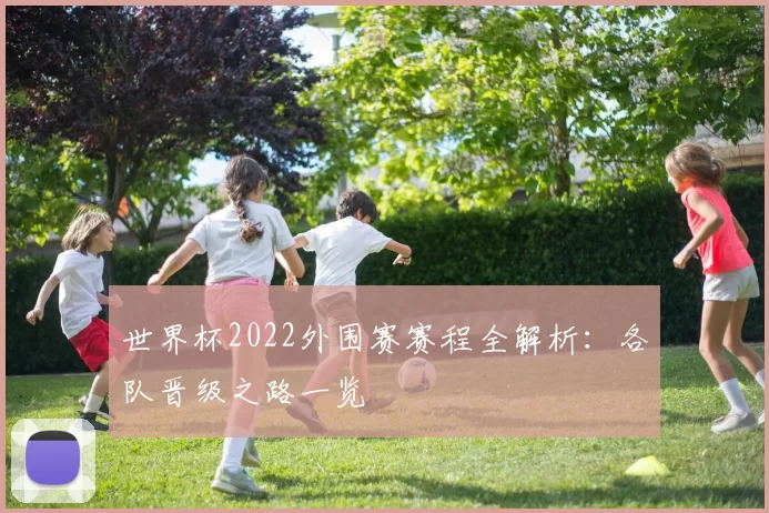 世界杯2022外围赛赛程全解析:各队晋级之路一览