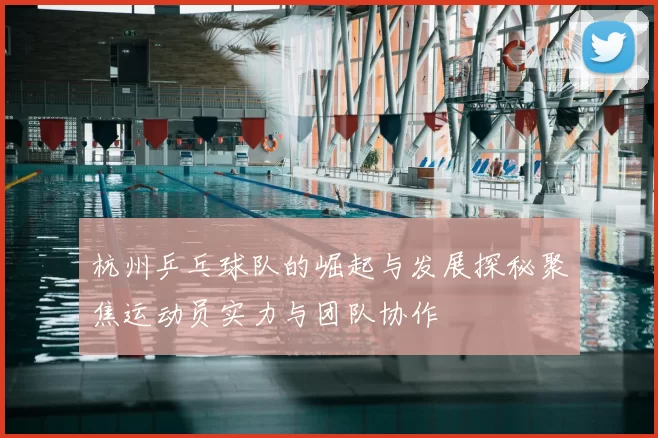 杭州乒乓球队的崛起与发展探秘聚焦运动员实力与团队协作