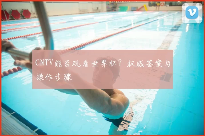 CNTV能否观看世界杯？权威答案与操作步骤