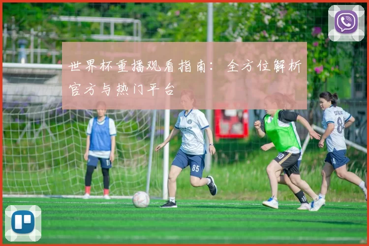世界杯重播观看指南:全方位解析官方与热门平台
