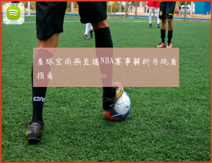 看球宝雨燕直播NBA赛事解析与观看指南