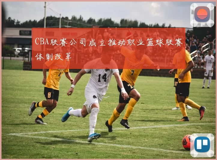 CBA联赛公司成立推动职业篮球联赛体制改革